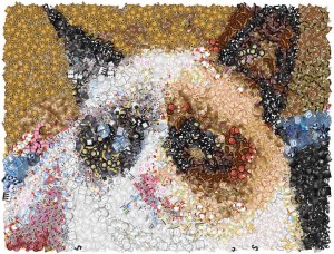 ¡Convierte tus fotos en mosaicos hechos de emojis!